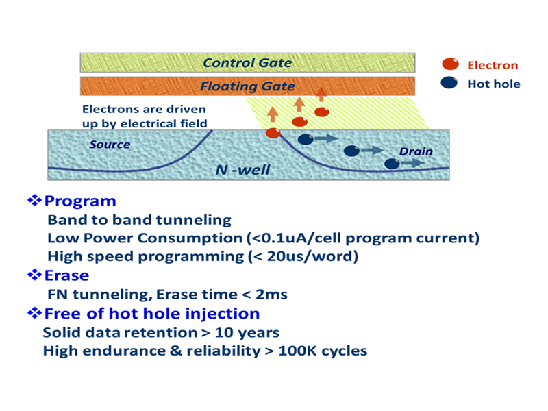 pFusion (Embedded Flash) - 常憶科技